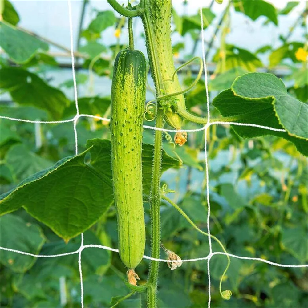 NUOVO RETE PER Rampicata Piante Da Giardino Rete Traliccio Rete