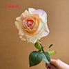 #4 rosa champagne
