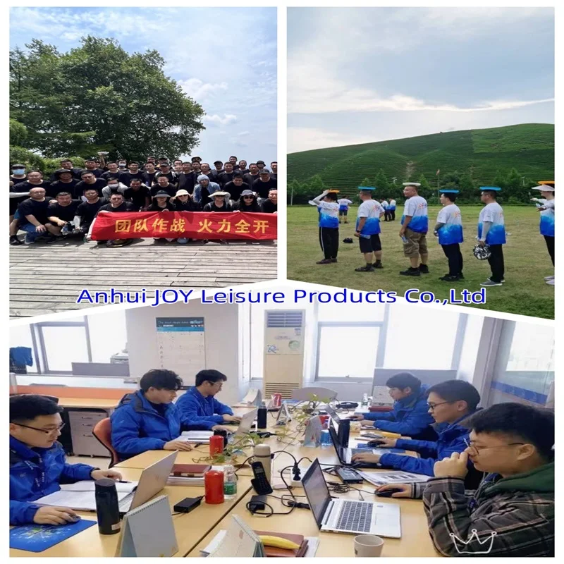 Anhui Joy Leisure Products Co., Ltd.