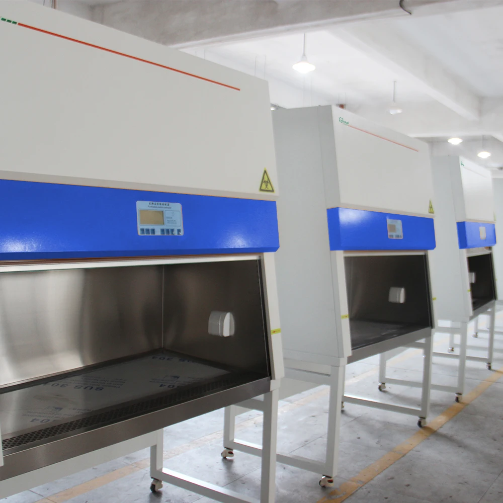 Factory Direct Sale Laboratory Class II  Biosafety Cabinet Biological Safety Cabinet A2