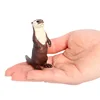 2330 Nutria del río euroasiático