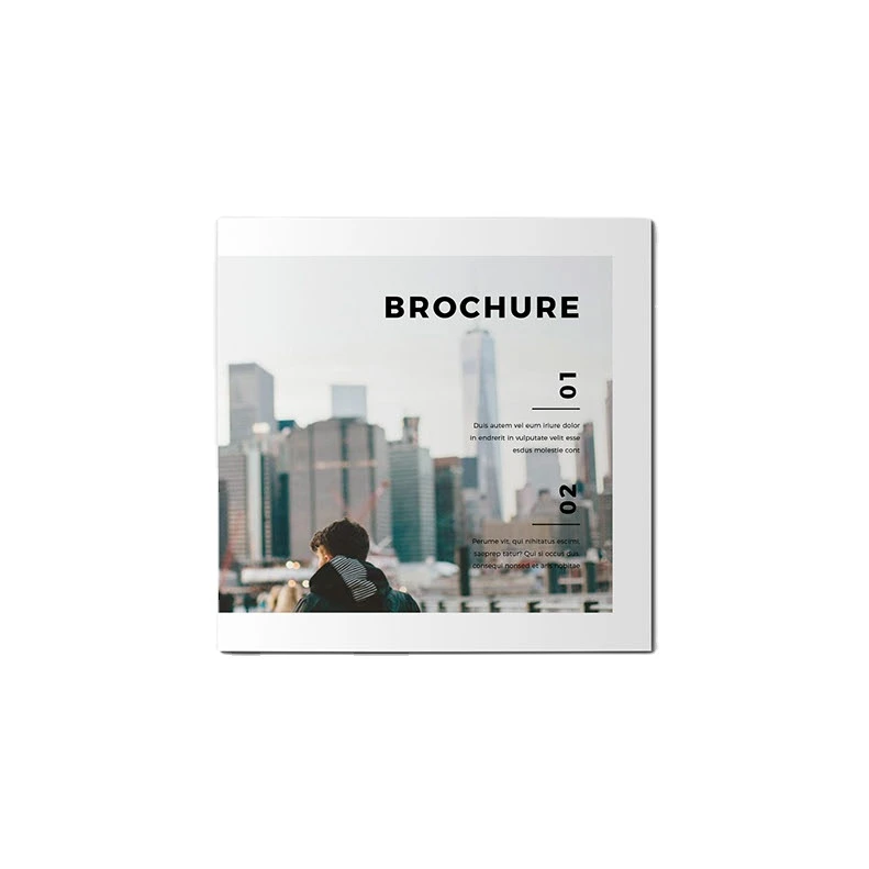 Заказная раскраска Горячая продажа Складные печатные листовки с бесплатным образцом