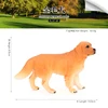 197Perro Golden Retriever