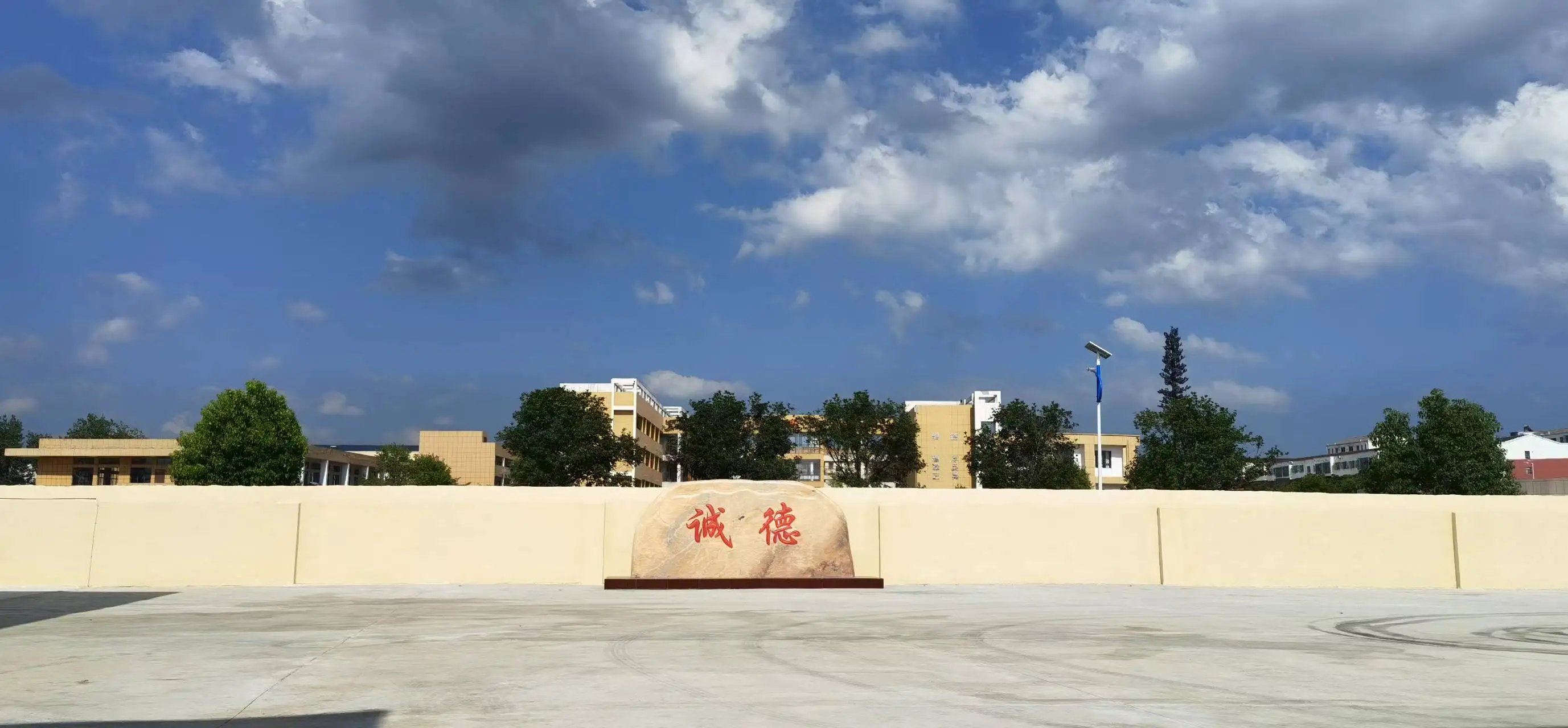 Disposable Conductive Strip Overshoe Shoe Cover supplier