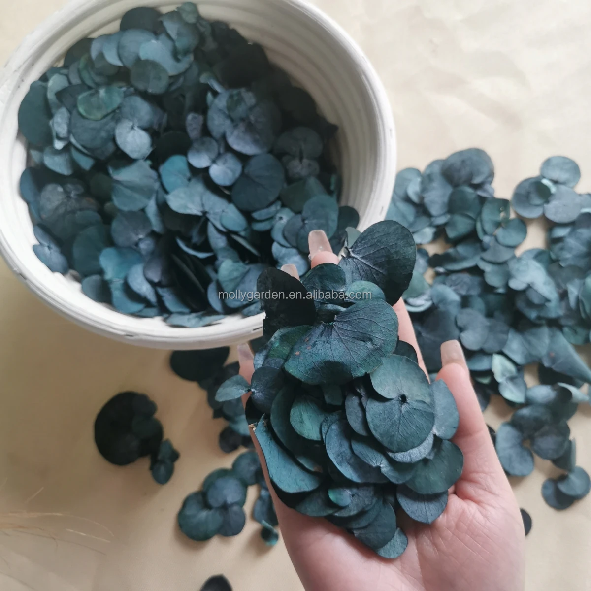 Preserved Real Eucalyptus Leaves,Only 100 Natural Bulk Eucalyptus