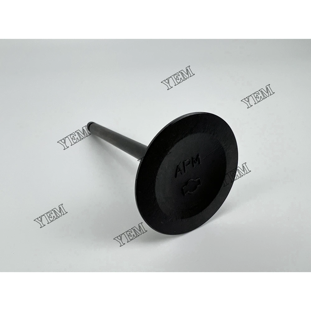 High Quality for Nissan TB42 Intake Valve Engine Spare Parts 5