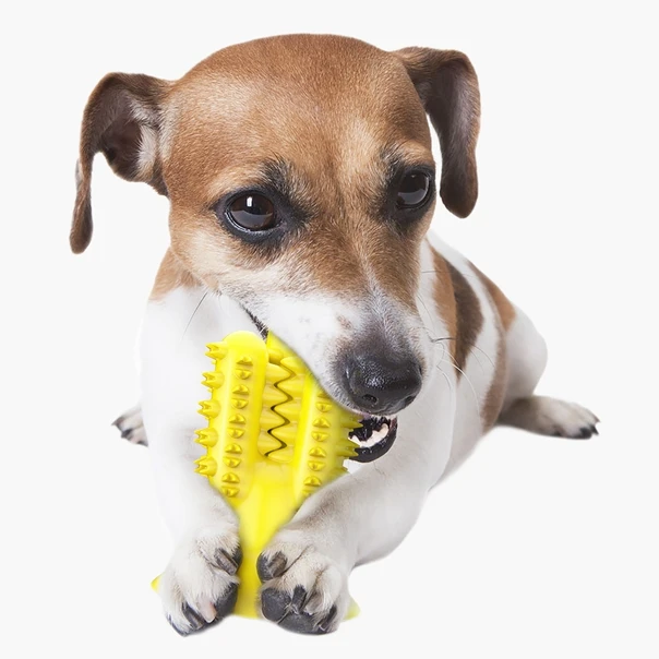 toothbrush shaped dog chews