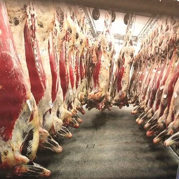 Cow Amazing Killer Box Slaughter Box for Cow Cow and Halal Ceremony