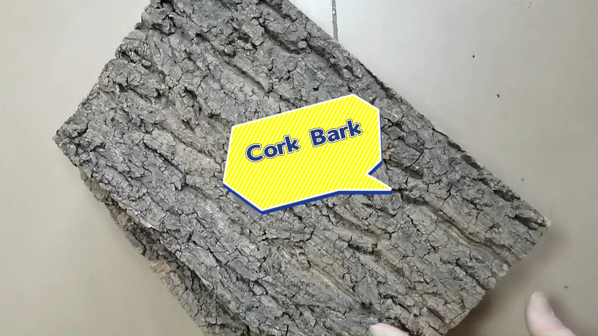 Cork Tile Background Bark Glass Container Background Wall Decoration