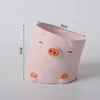 Cochon à tête tordue avec trou
