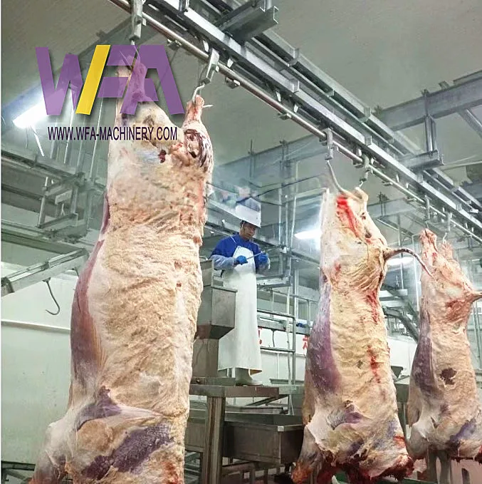 Complete Abattoir Plant Cattle Slaughter House 10 Cattle Hour Halal ...