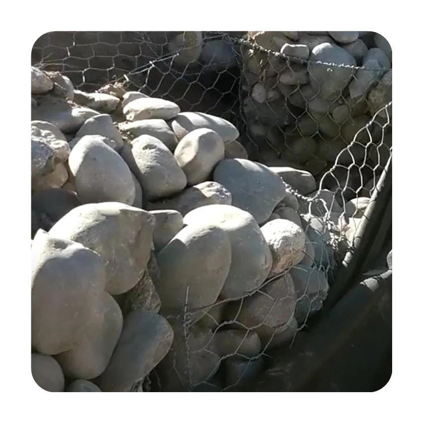 High quality hot Dipped wire mesh chain link fence for garden
