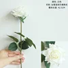 #1-1 bianco