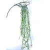 Air plant (light color)