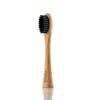 Black-Charcoal Bristle