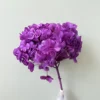 classic purple