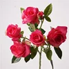 Feel multi-tête barbie rose-rose rouge