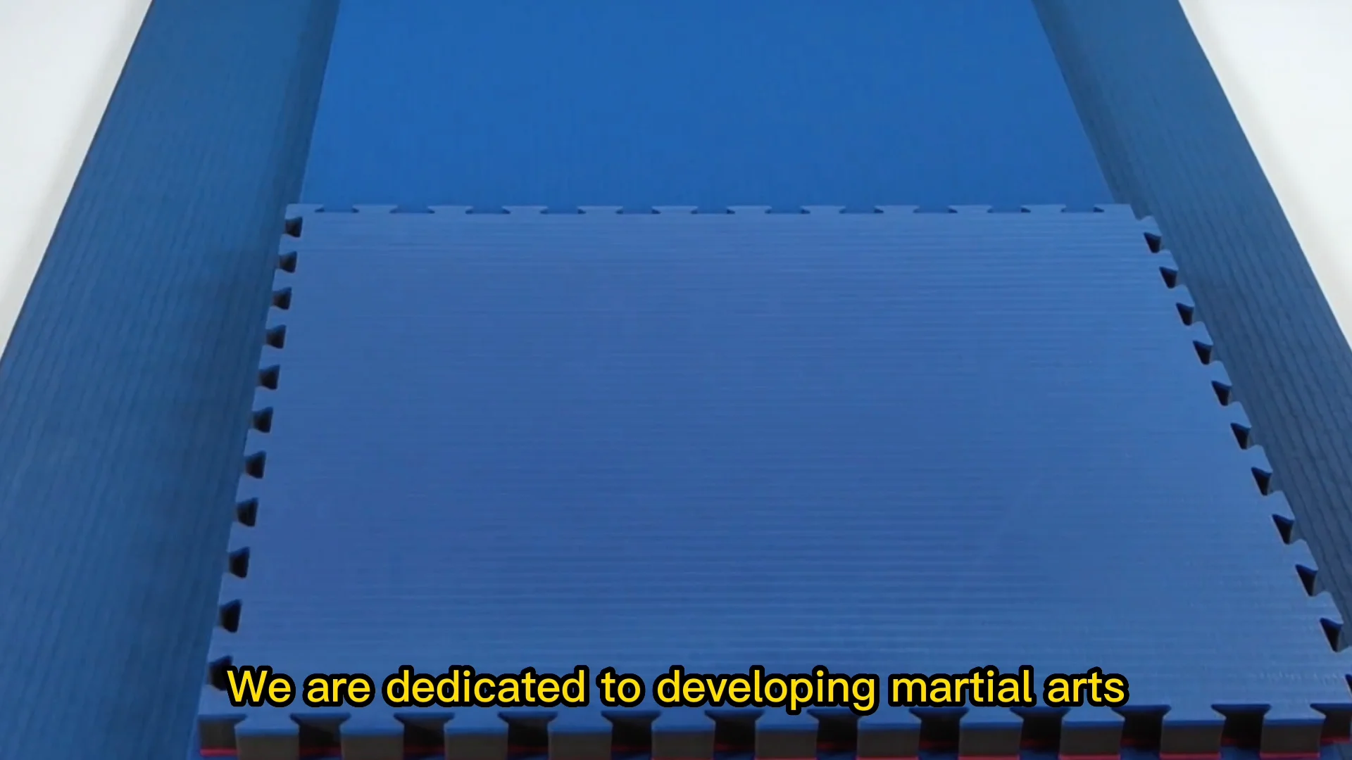 Linyiqueen Judo Mat Landing Crash Pad Pvc Roll Floor Muay Thai Tatami