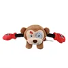 Boxer-monkey-a true champion