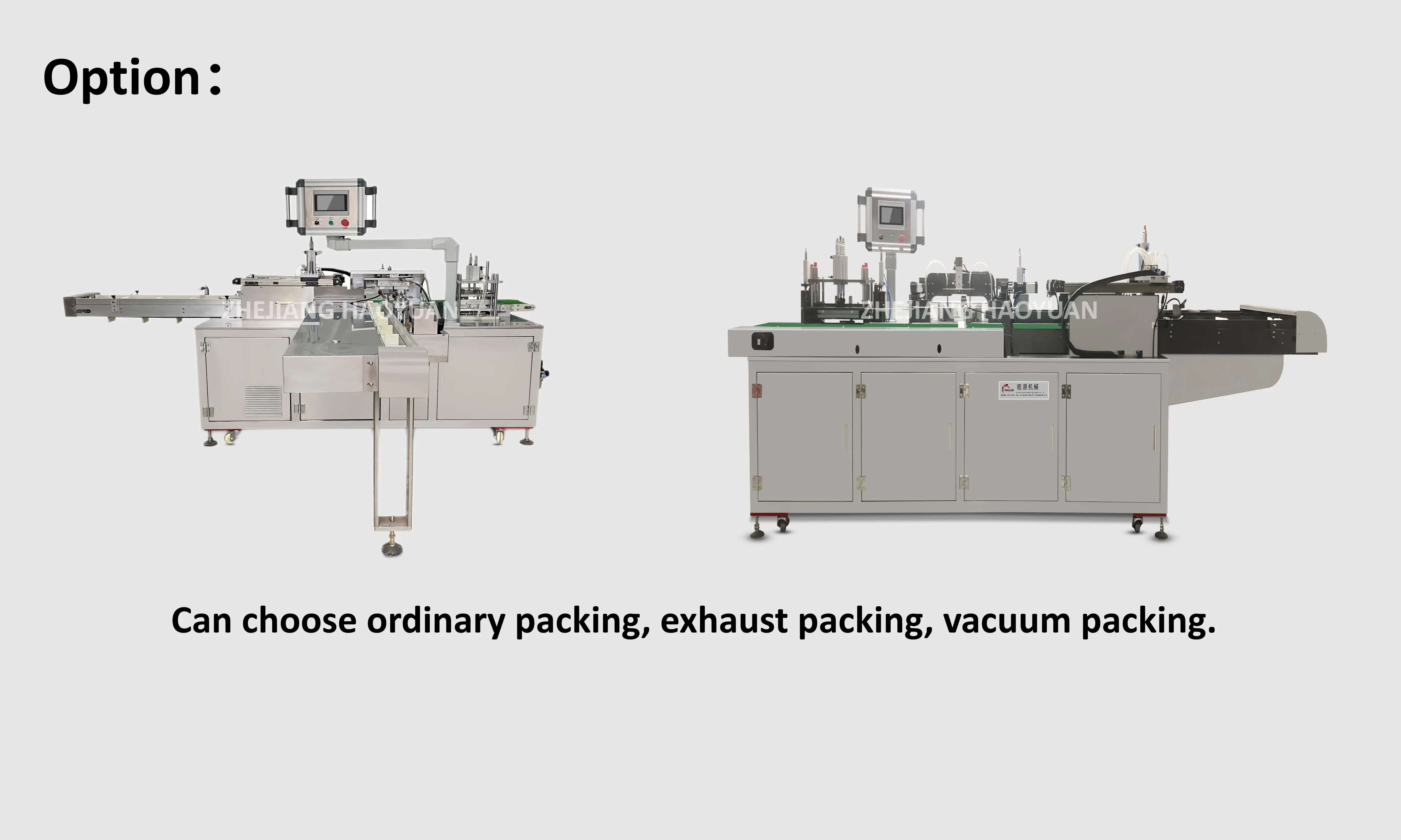 HY-100 Automatic Meat Fresh Fish Vegetable Fruit Radish Carote Vacuum Pre-Made Bag Sotto Vuoto Packing Machine factory