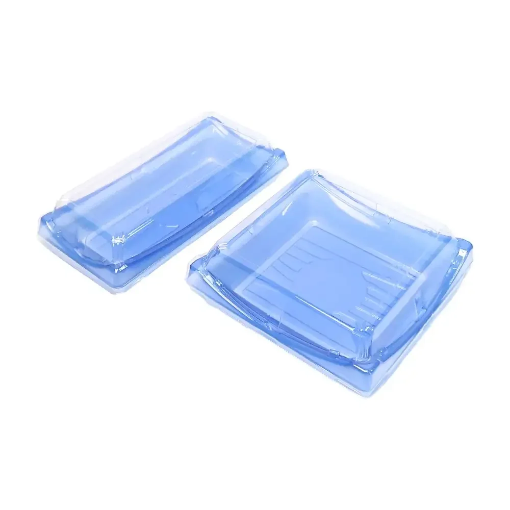 Fast Shipment Disposable Rectangular to Go Packaging Box Clear Blue Plastic Sushi Box with Anti Fog Lid