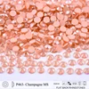 P463 Champagne MS