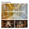 สีขาว