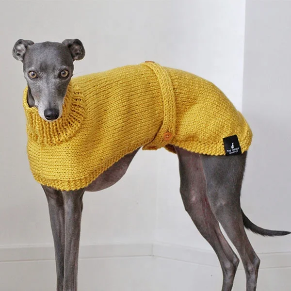 Whippet Greyhound Italian Lurcher Saluki Sighthound Clothing for Dog