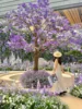 Lavanda