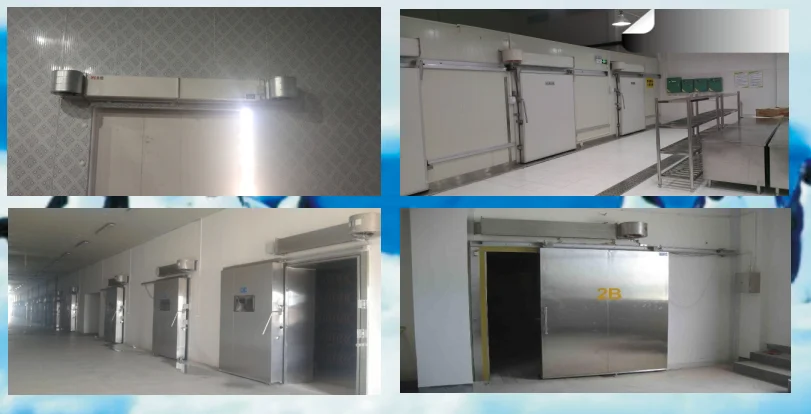 Cold Room cold storage cooling food Centrifugal fan air curtain