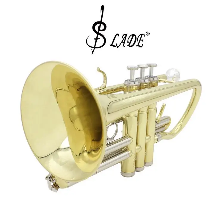 SLADE Professional Bb Flat Cornet Brass Instrument Cornet with Carrying  Case Gloves Cleaning Cloth Brushes| Alibaba.com