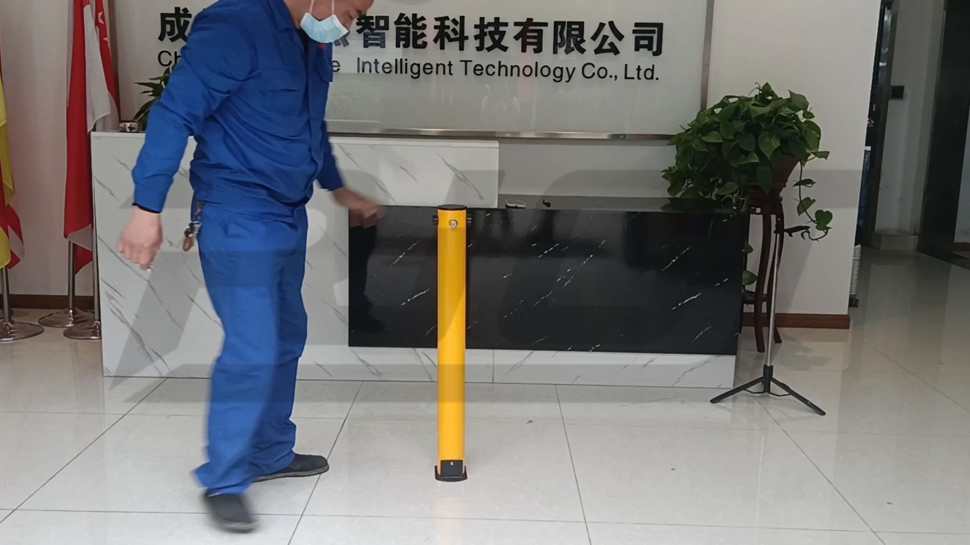 Removable Parking Bollards | Driveway Security Posts | Bison