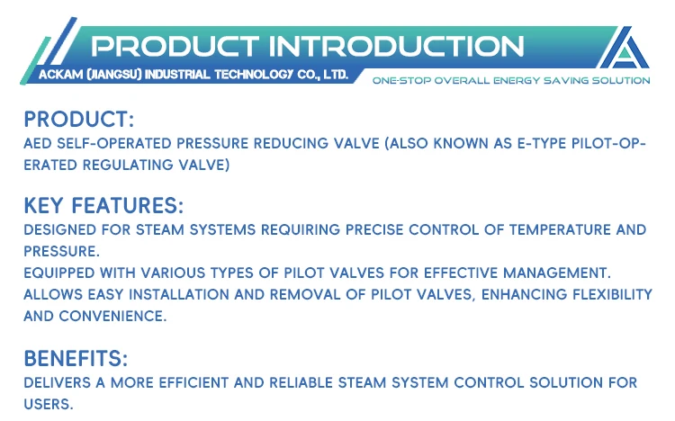 Resistant to Environmental Influences Steam Pressure Valve Reducer Accurate Easy to Maintain Pressure Valve Self-Operated factory