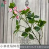 Small single-stem fuchsia, pink