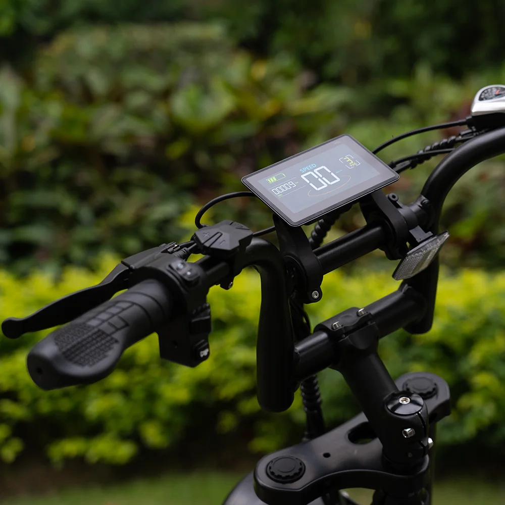 RTS Dutch Spot Electric Bicycle Fat Bike 48v 250w Fatbike Ebik Cheap  Electric Mountain Bike