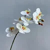 White 2