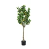 Verde 150cm