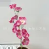12 amapolas