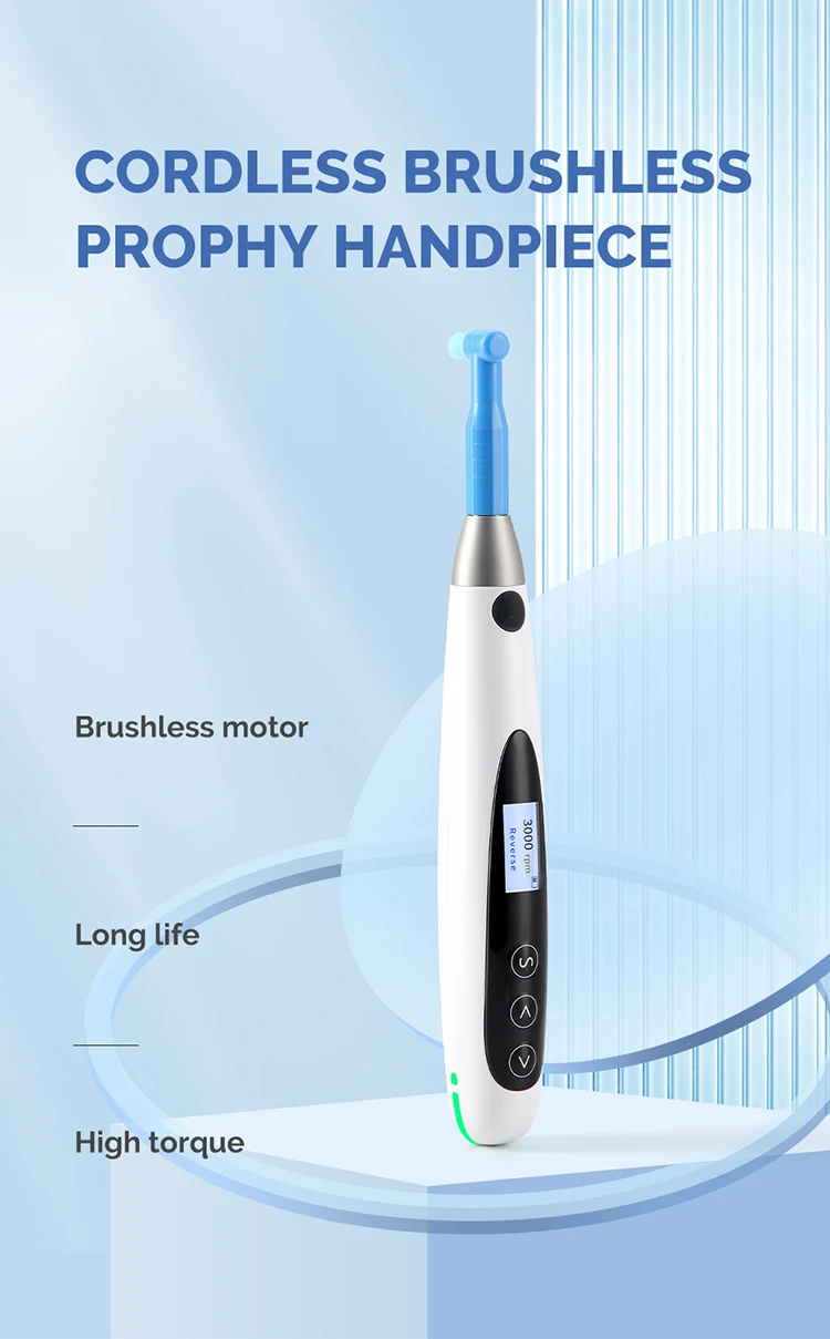 Fashion Portable Dental Prophy Handpiece electric Tooth Polisher