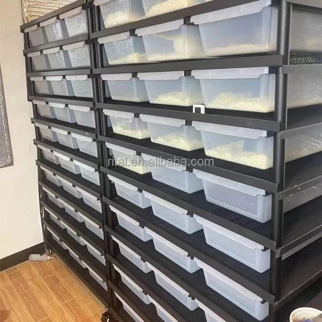 Reptile Pvc Plastic Snake Breeding Box Tubs Racks System Buy Reptile