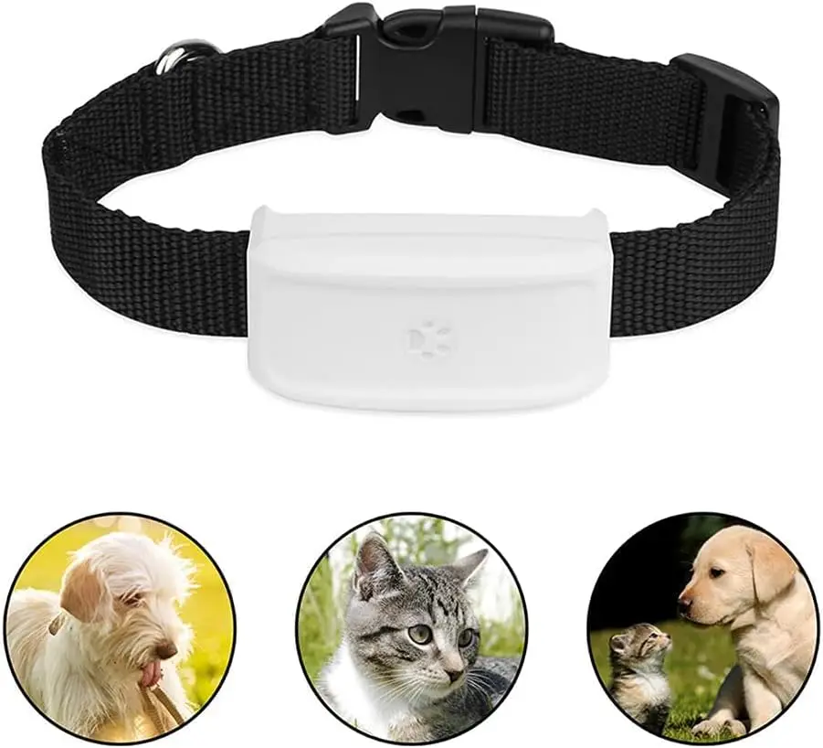 TK911 Tkstar Cat  GPS Tracker Wifi Mini Pet tracker World Smallest Dog Collar Tracking Pet Long Battery Life Platform Winnes App