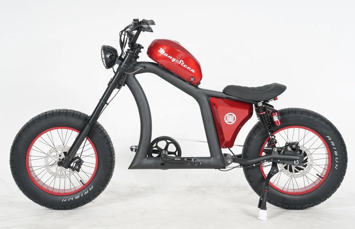 マンゴスチンEBIKE長距離バッテリー付きFT02電気シティバイク