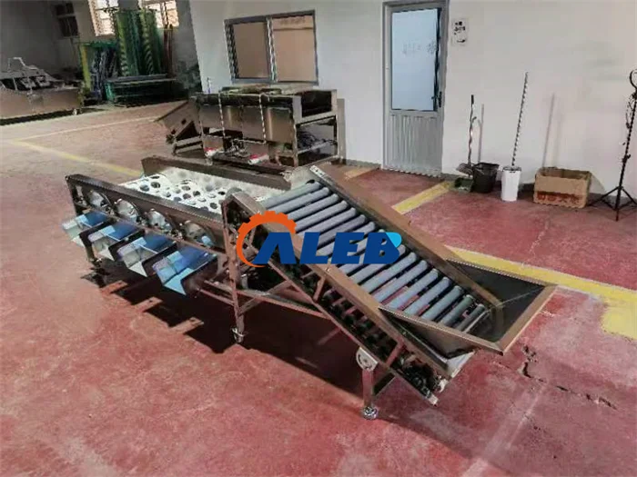 Cheap apple Orange Size Sorting Machine Fruit Washing Machine and Sorting Machine