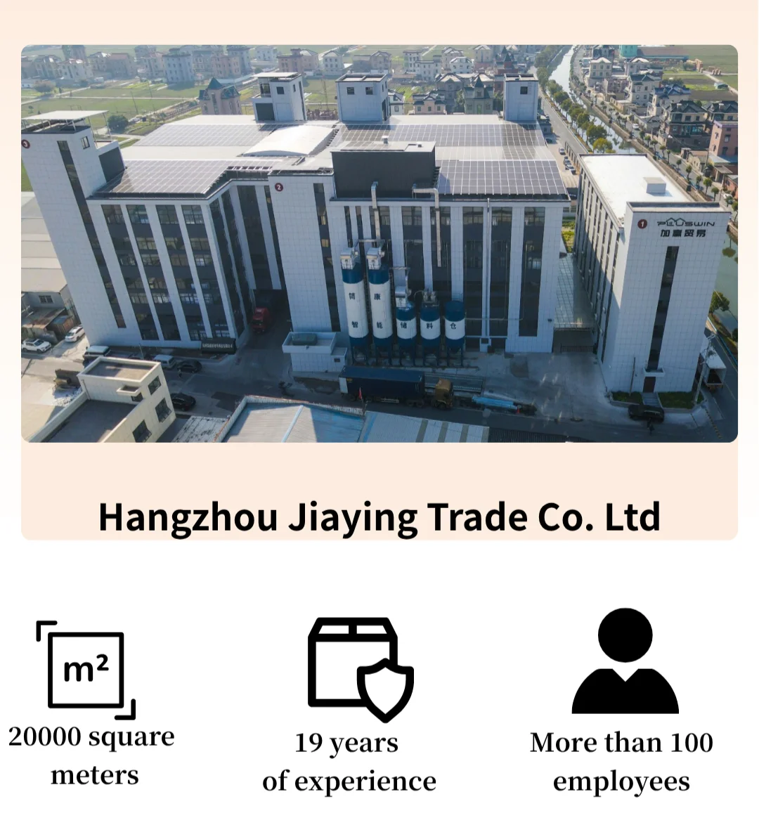 Company overview