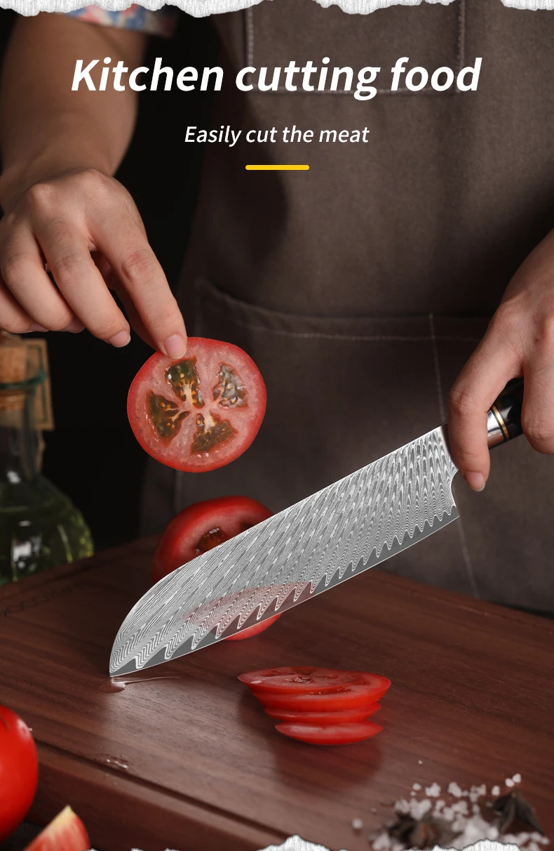 Chef Cooking 67layers VG10 Damascus Knife Set Japanese Kitchen Knives  Blue Resin Handle Damascus Steel Knife