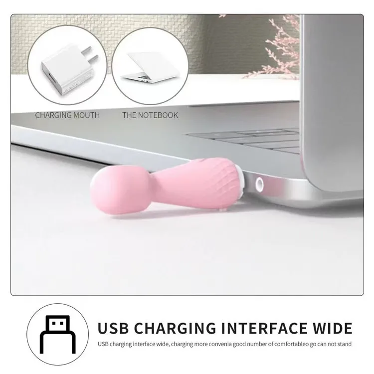 Amoura mini bullet vibrator product packaging