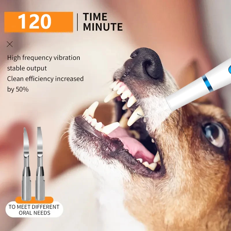 Ultrasonic Dog Teeth Cleaning Kit With LED Light for Pet  With 3 Modes for Teeth Care