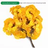 Feuilles de Ginkgo biloba bicolores avec revêtement en gel