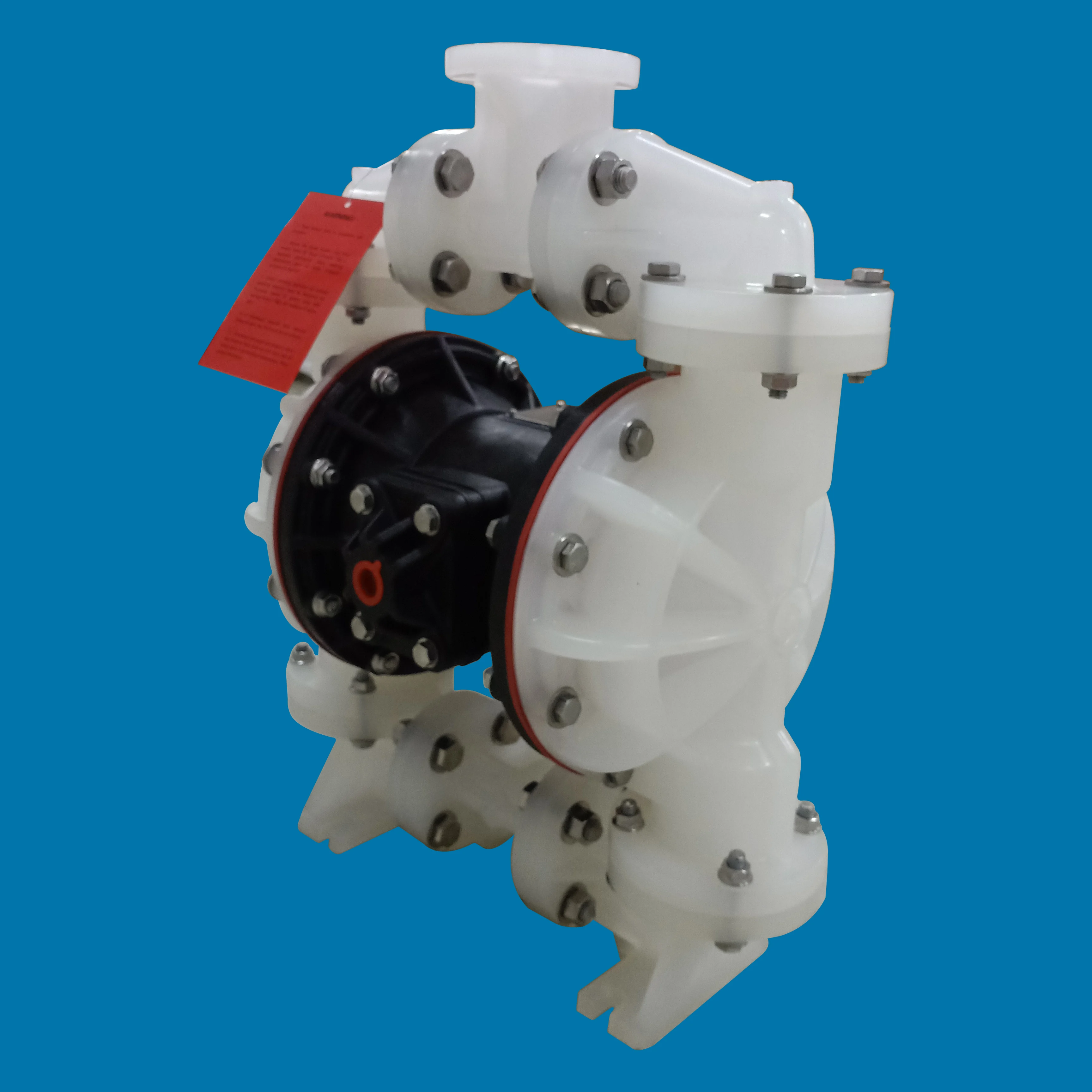 B1F01PP2PU0 OEM 1''  pump  details