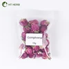 Globe Amaranth